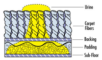 Pet Urine Spreading Diagram